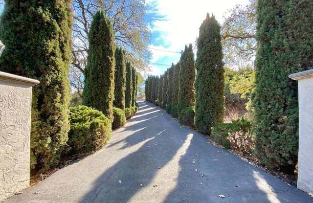 3163 Dry Creek Road Gallery 2