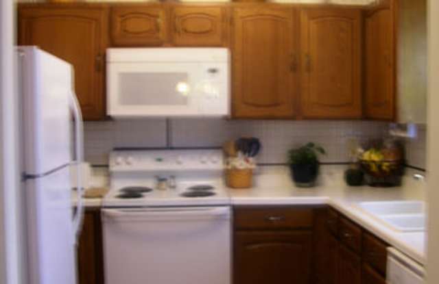 8782 Hawthorne Dr Gallery 4