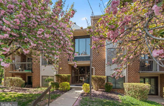 6 MULLINGAR CT #202 photos photos