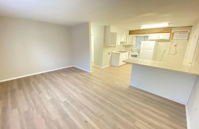 2bed/1ba Apt off S Main Kannapolis close to Downtown Kannapolis & Hwy 73 Gallery 3