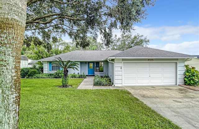 12410 WEDGEFIELD DRIVE - 12410 Wedgefield Drive, Lake County, FL 32735