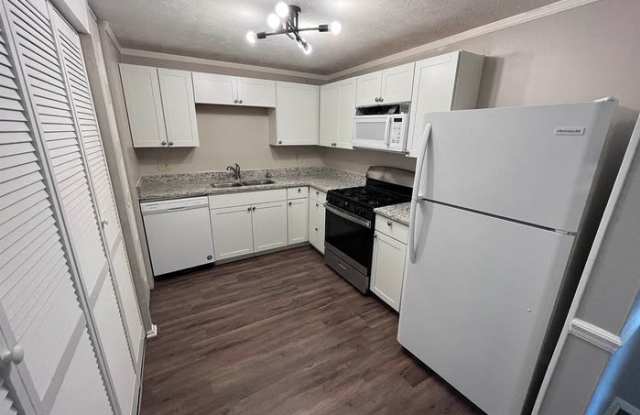 3723 Bramblevine Circle Gallery 3