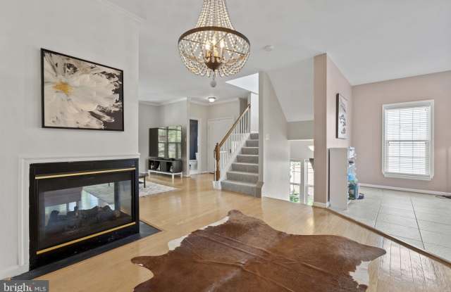 43693 BALMORAL Terrace Gallery 2