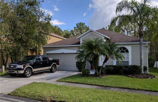 12526 BLAZING STAR DRIVE - 12526 Blazing Star Drive, Keystone, FL 33626