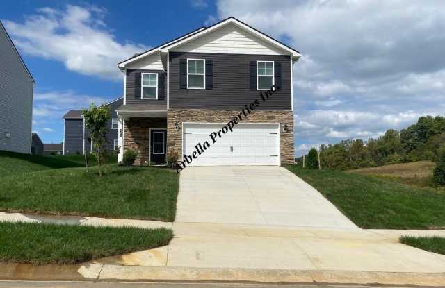 424 Quiver Street - 424 Quiver Street, Washington County, TN 37604