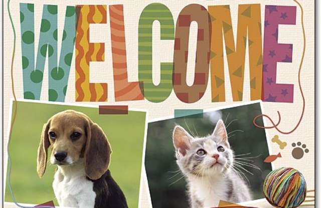 1337 North Madison Street photos photos