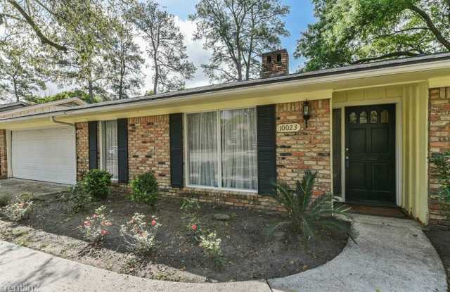 10023 Briarwild Ln - 10023 Briarwild Lane, Houston, TX 77080