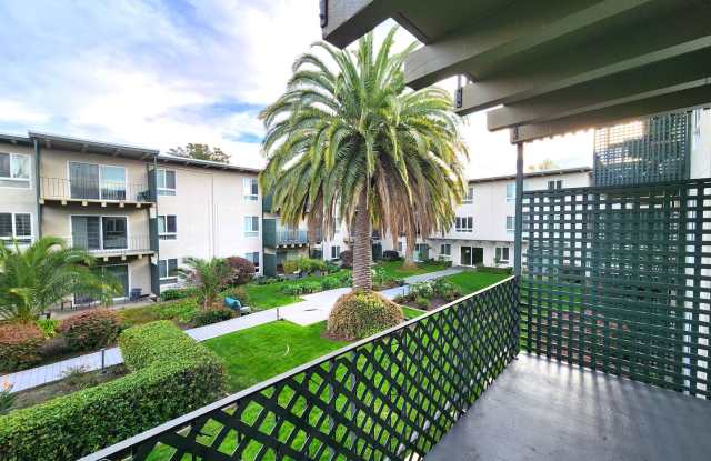 large south-facing, updated 1 bedroom home - 833 North Humboldt Street, San Mateo, CA 94401