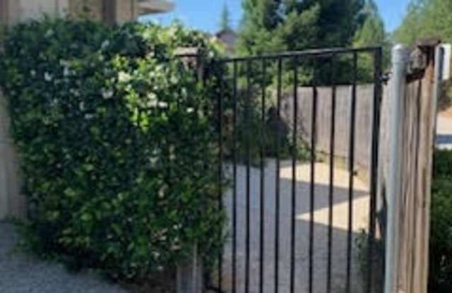 269 Canyon Creek Circle Gallery 3