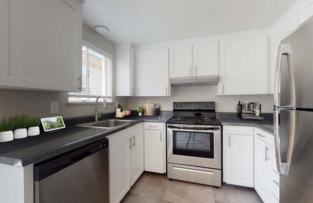 Pioneer photos photos Pioneer photos photos