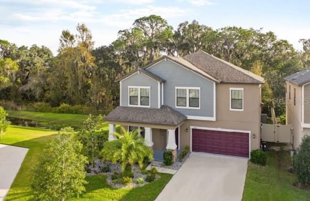 14238 BLUE DASHER DRIVE - 14238 Blue Dasher Drive, Fish Hawk, FL 33547