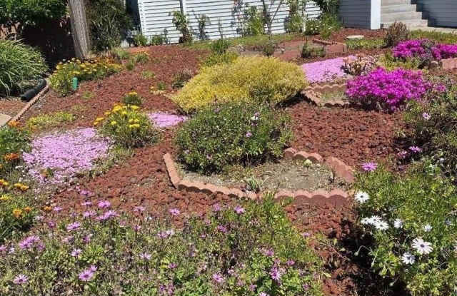 239 Killdeer CT photos photos