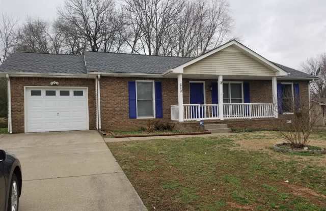 210 Short Street - 210 Short Street, Clarksville, TN 37042