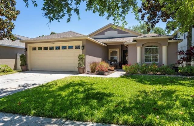 15332 Amberbeam Boulevard - 15332 Amberbeam Boulevard, Winter Garden, FL 34787