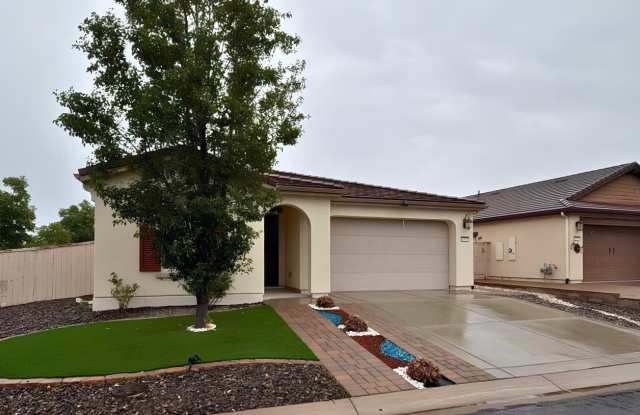 1905 Palacia Pointe Drive Gallery 2