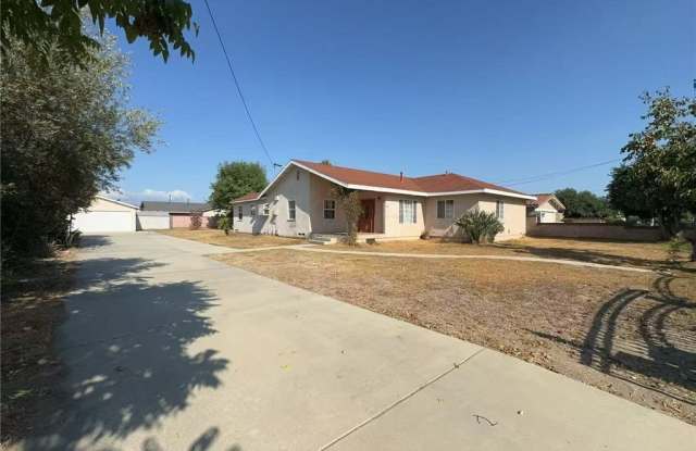 13241 Francisquito photos photos