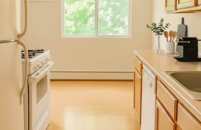 Discover Comfortable Living in Our One-Bedroom Unit in New Hope for $1,225/month! Gallery 4