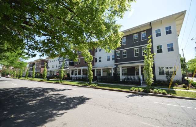 The Clayton on Scott photos photos The Clayton on Scott photos photos