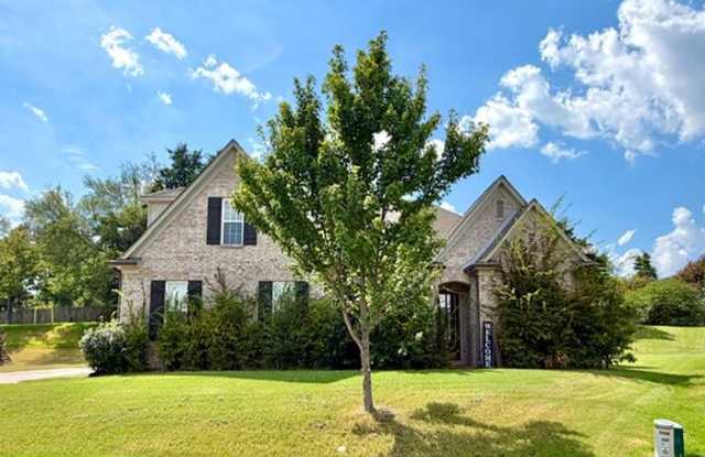 5059 Stone Shadows Drive Gallery 1