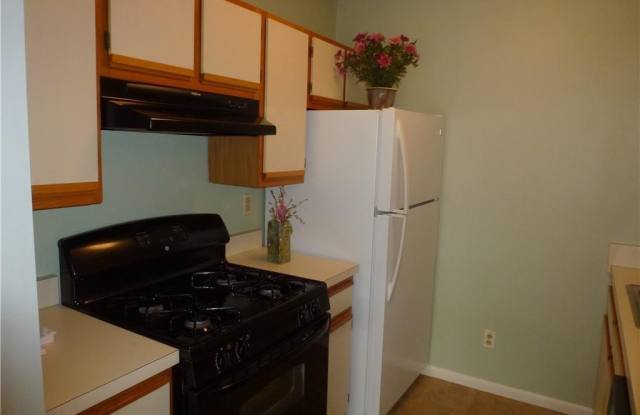 119 Water Front View Gallery 2