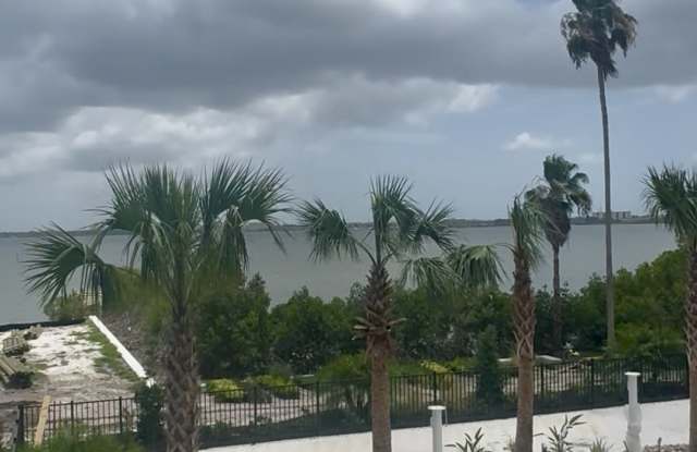 2973 Gulf To Bay Blvd photos photos
