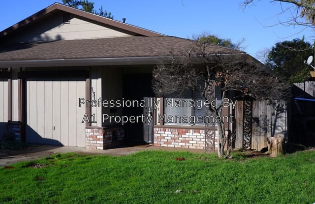 1313 Oak Terrace Ct - 1313 Oak Terrace Court, Arden-Arcade, CA 95825