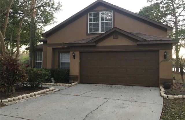 12804 MIRAMAR PLACE - 12804 Miramar Place, Citrus Park, FL 33625