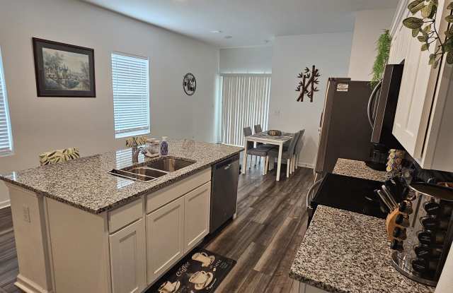 33529 Buttonweed Trail - 33529 Buttonweed Trail, Pasadena Hills, FL 33541