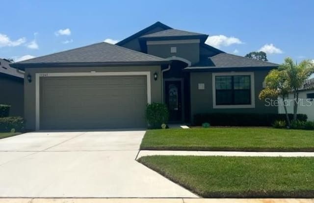 11245 PADDOCK MANOR AVENUE - 11245 Paddock Manor Avenue, Riverview, FL 33569
