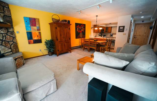 In town condo! Walk to gondola! Ski season will be the best! In town 2 bed/2 bath available starting 11/1! Gallery 4