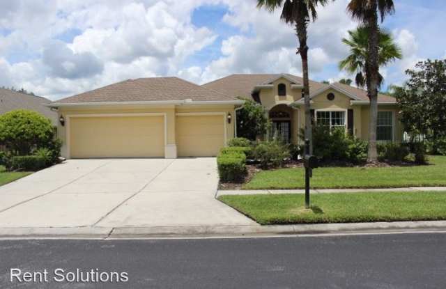3805 Sorrel Vine Drive - 3805 Sorrel Vine Drive, Wesley Chapel, FL 33544