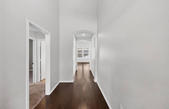 417 Hackberry Drive Gallery 4