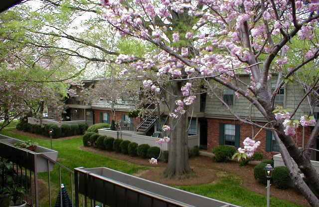 2 BEDROOM CONDO IN SALEM SQUARE! photos photos