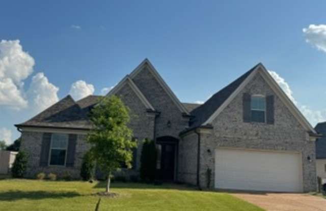 65 Chesnut Spring Cove photos photos
