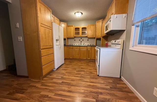 Great 3 bedroom, 1 Bathroom Side by Side Townhome Unit Available in Coon Rapids - WON'T LAST LONG - 10746 Ilex Street Northwest, Coon Rapids, MN 55448