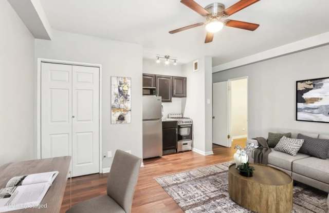 1143 North Lasalle Dr. - 1143 North La Salle Drive, Chicago, IL 60610