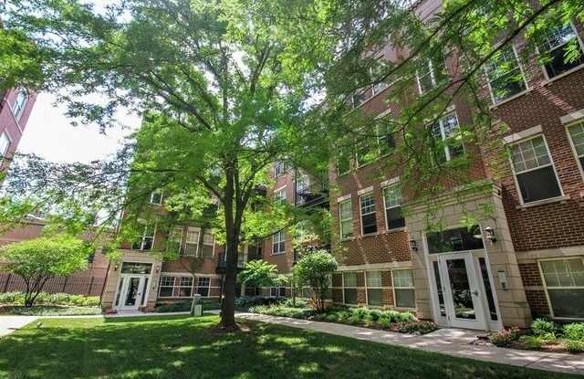 305 W SCOTT Street photos photos