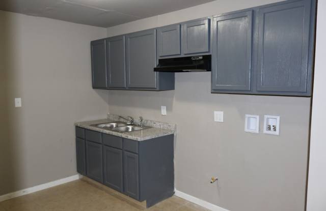 West Side of Gary Home Section 8 Welcomed - 1034 Matthews Street, Gary, IN 46406
