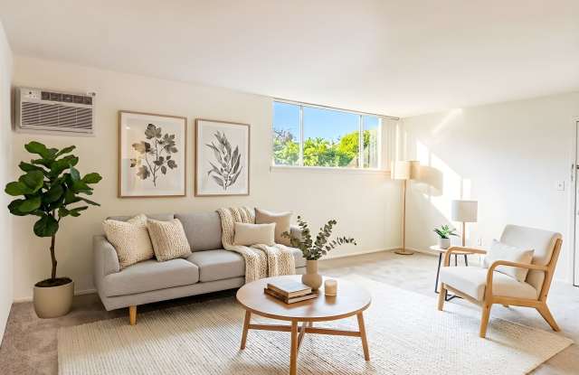 Medical Center Court photos photos