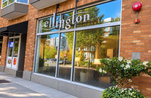 Belltown! Gallery 1