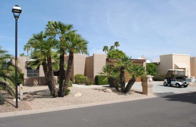 26001 S SHERBROOK Drive - 26001 South Sherbrook Drive, Sun Lakes, AZ 85248
