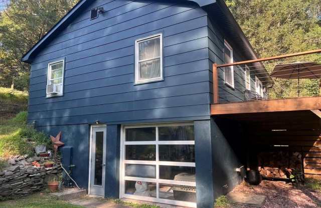 136 School Street - 136 School Street, Narrowsburg, NY 12764