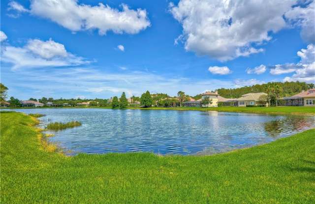 11804 SHIRE WYCLIFFE COURT Gallery 3