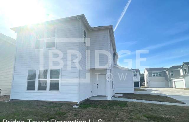 369 Huisache Street - 369 Huisache Street, Lake Jackson, TX 77566
