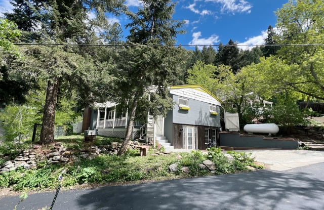37 Silver Spruce photos photos