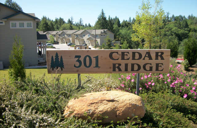 301 Canyon Creek Dr Gallery 1