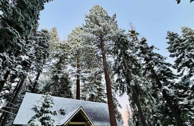 '25-'26 SKI LEASE: "Honey Bear Cabin" Wood FP, Cozy Honey Bear Cabin! photos photos