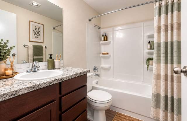 Solana Apartments Gallery 4