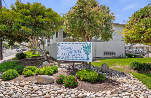 Bay Laurel Gallery 2