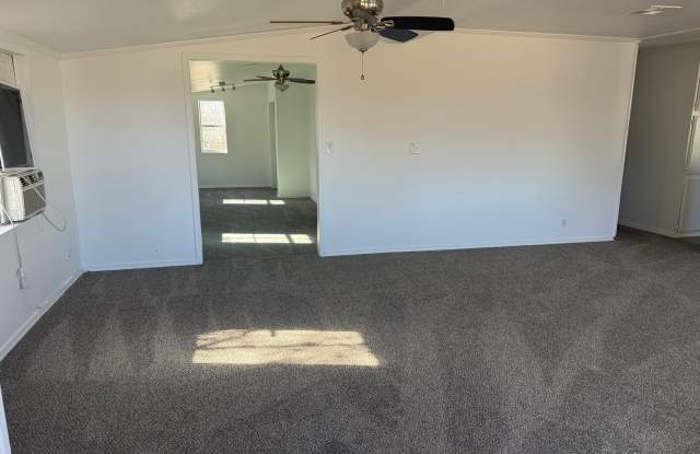 3110 Cedar Lane Gallery 4
